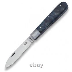OTTER-Messer Draco Folder Folding Knife 3 Carbon Steel Blade Blue Wood Handle